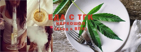 ECSTASY Алзамай