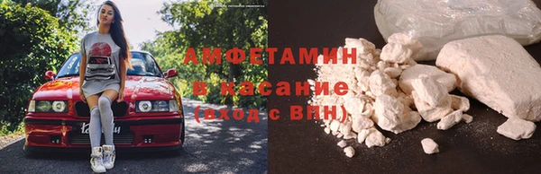ECSTASY Алзамай