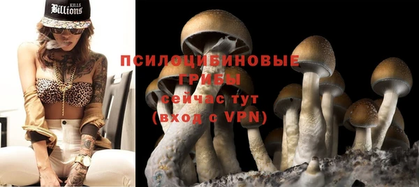 ECSTASY Алзамай