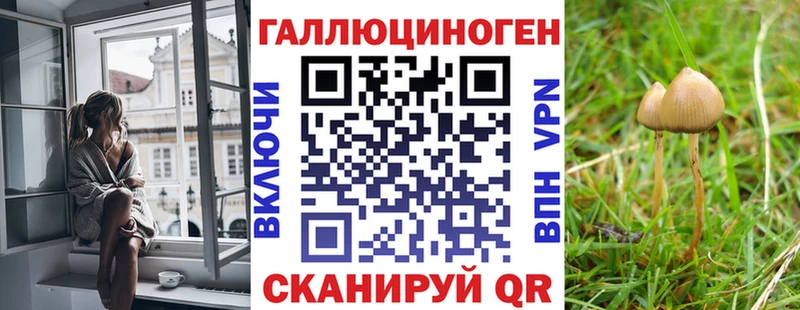 мориарти официальный сайт  Черкесск  Псилоцибиновые грибы Psilocybine cubensis  где можно купить  